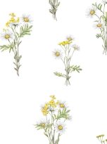 Seamless,Pattern,Watercolor,Daisy,And,Tansy.,Hand,Drawn,Illustration,Of